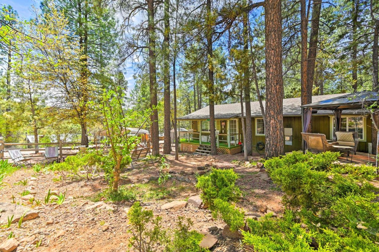 Pine Cabin In The Woods With Yard And Grill! Экстерьер фото